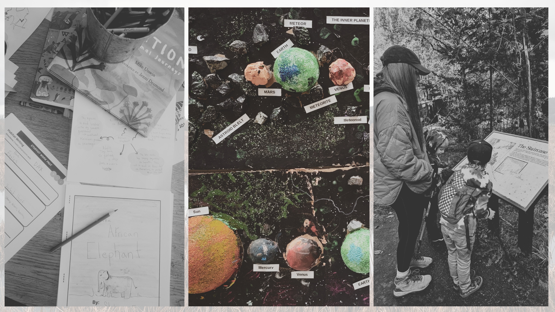 Three images in a chart. The first shows a project based learning creative writing project, the second a clay model of the solar system, and last a family on a guided nature hike. The images demonstrate the eclectic style of homeschooling.