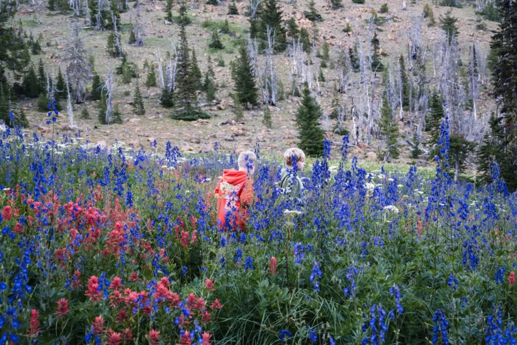 children exploring outdoors on a nature walk as part of homeschool learning